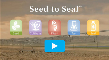 Young Living Seed to Seal video